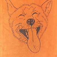 Dámské tričko se  psem Dingo